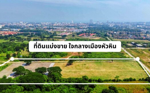 Land for sale : 5,000 THB / SQM A one-of-a-kind view you won’t easily find anywhere else… but you can claim it as your own